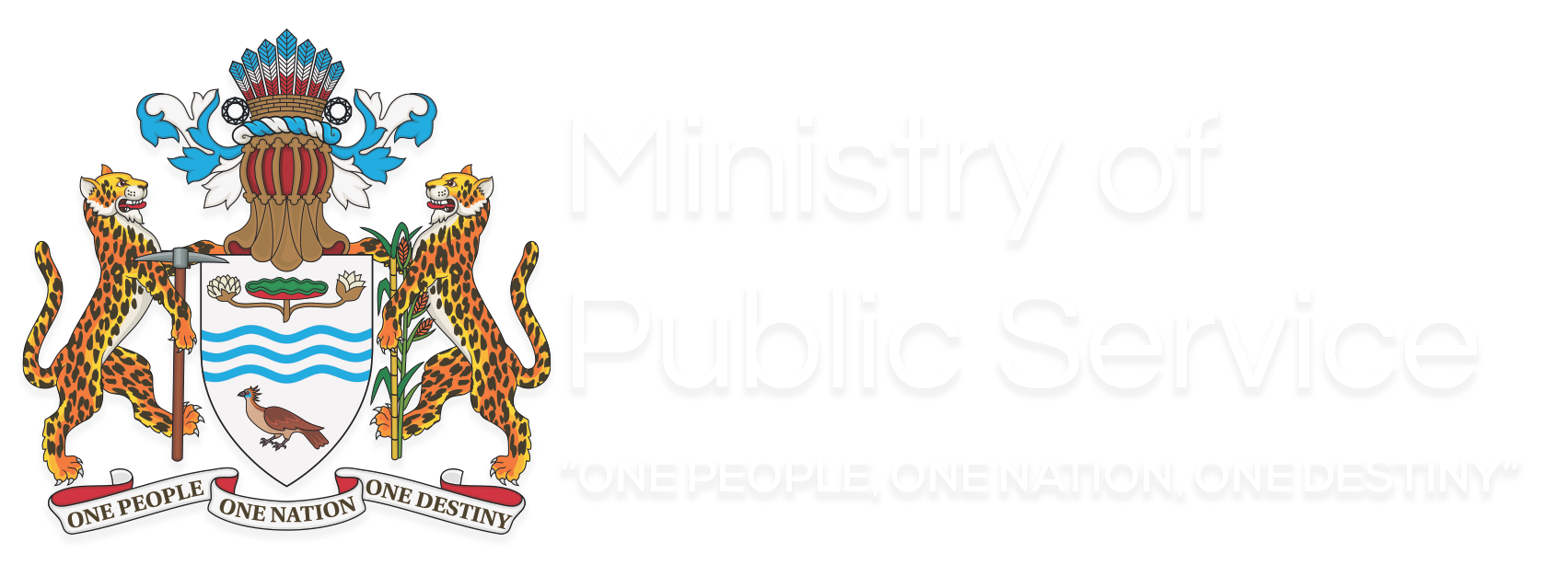Ministry of Public Service